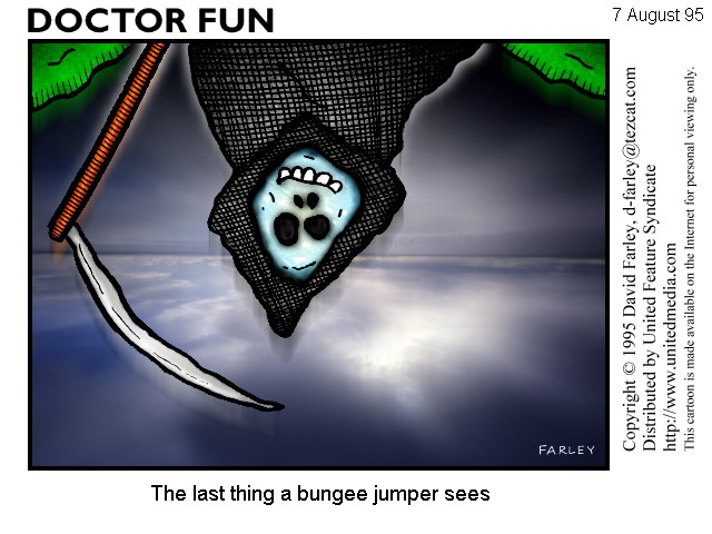 Dr Fun - The last thing a bungee jumper sees